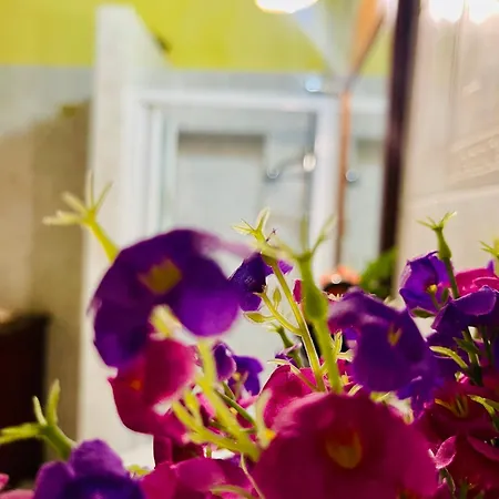 Cabruno Del Corbezzolo